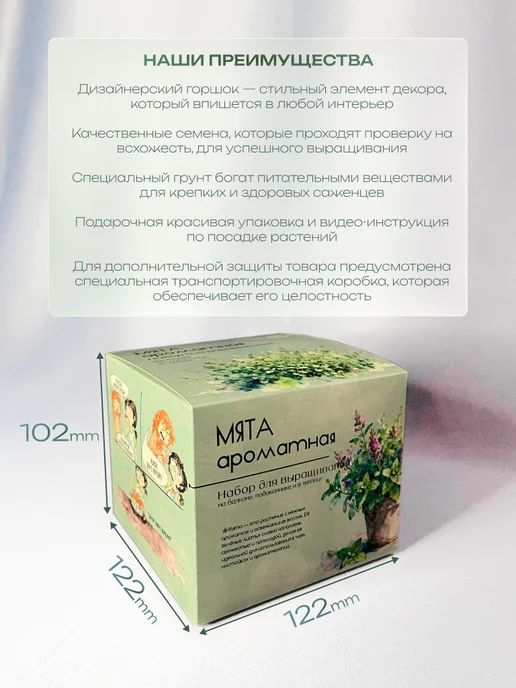 ECOseeds Набор для выращивания Мята ароматная, вариант, фото 2