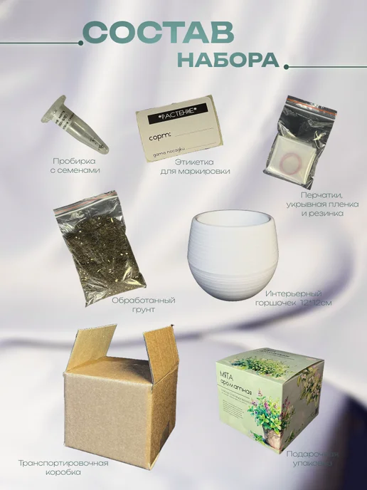 ECOseeds Набор для выращивания Мята ароматная, вариант, фото 3