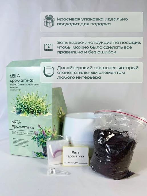 ECOseeds Набор для выращивания Мята ароматная, вариант, фото 4