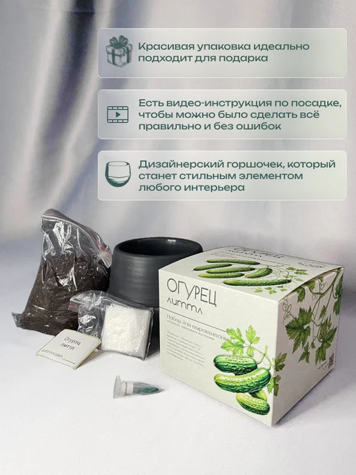 ECOseeds Набор для выращивания Огурцы корнишоны, вариант, фото 4
