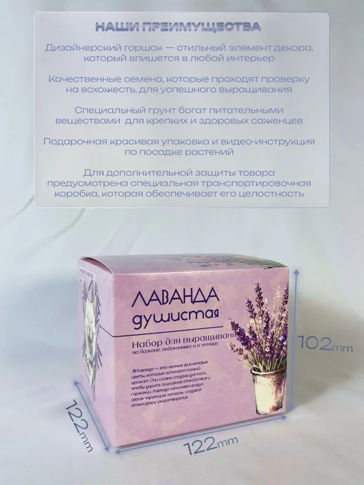 ECOseeds Набор для выращивания Лаванда душистая, вариант, фото 2