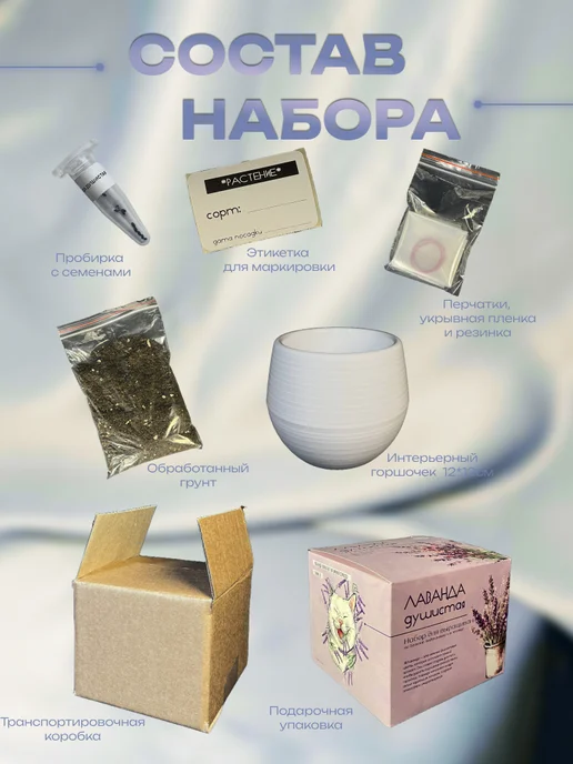 ECOseeds Набор для выращивания Лаванда душистая, вариант, фото 3