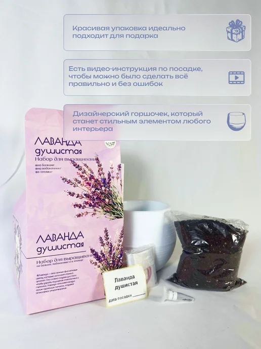 ECOseeds Набор для выращивания Лаванда душистая, вариант, фото 4