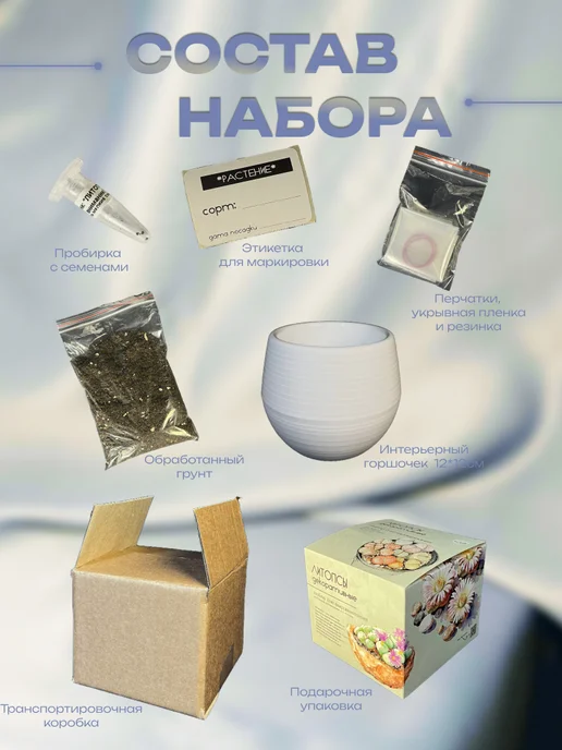 ECOseeds Набор для выращивания Литопсы Живые камни, вариант, фото 3