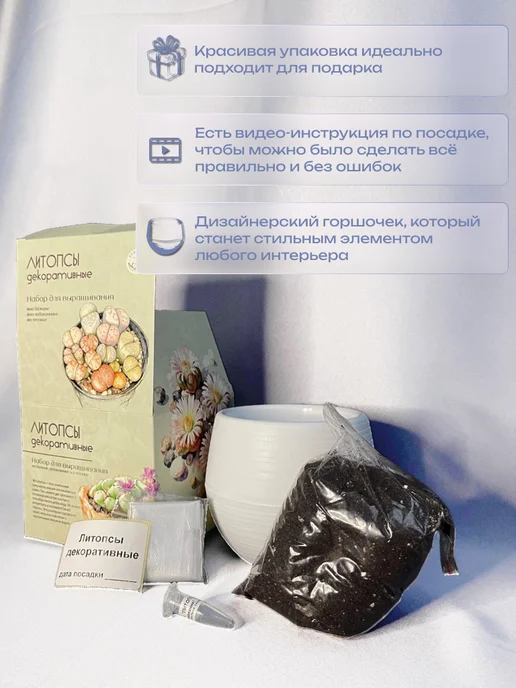ECOseeds Набор для выращивания Литопсы Живые камни, вариант, фото 4
