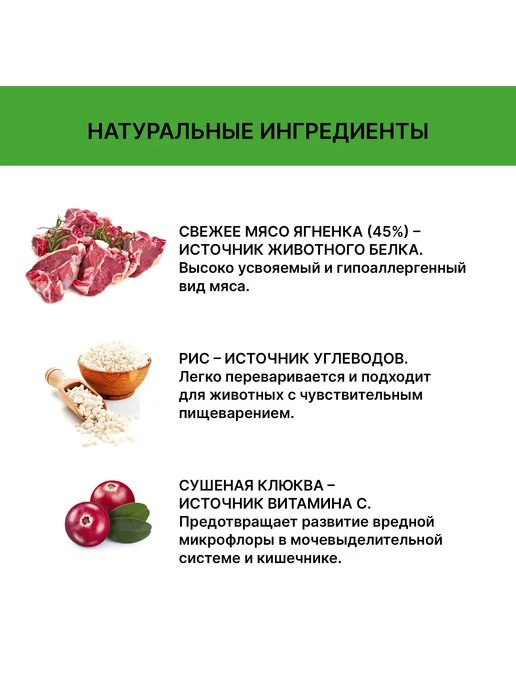 Сухой корм HOLISTOFF Кошек для собак, ягненок, 2,6 кг, фото 5