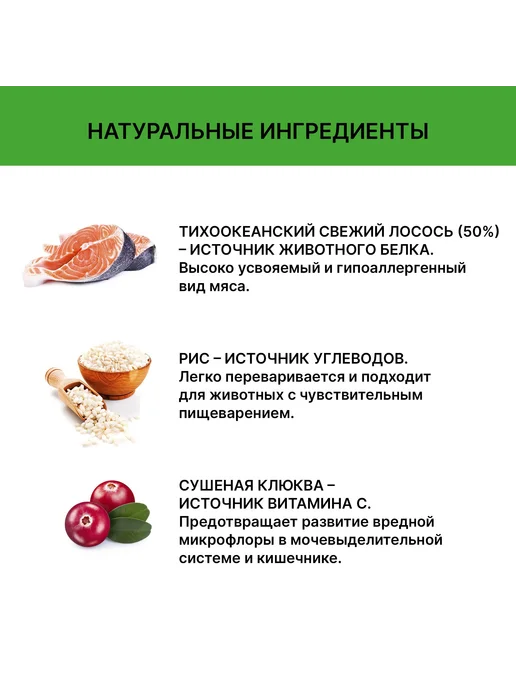 Сухой корм HOLISTOFF Кошек для собак, лосось, 0,65 кг, фото 5