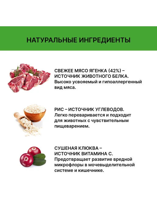 Сухой корм HOLISTOFF Cухой Поро… для собак, взрослые, мелкие, средние, щенки, 2 кг, фото 5