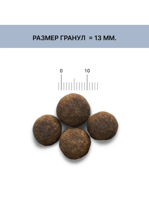 Сухой корм HOLISTOFF Cухой Пор… для собак, взрослые, крупные, средние, щенки, 2 кг, фото 4