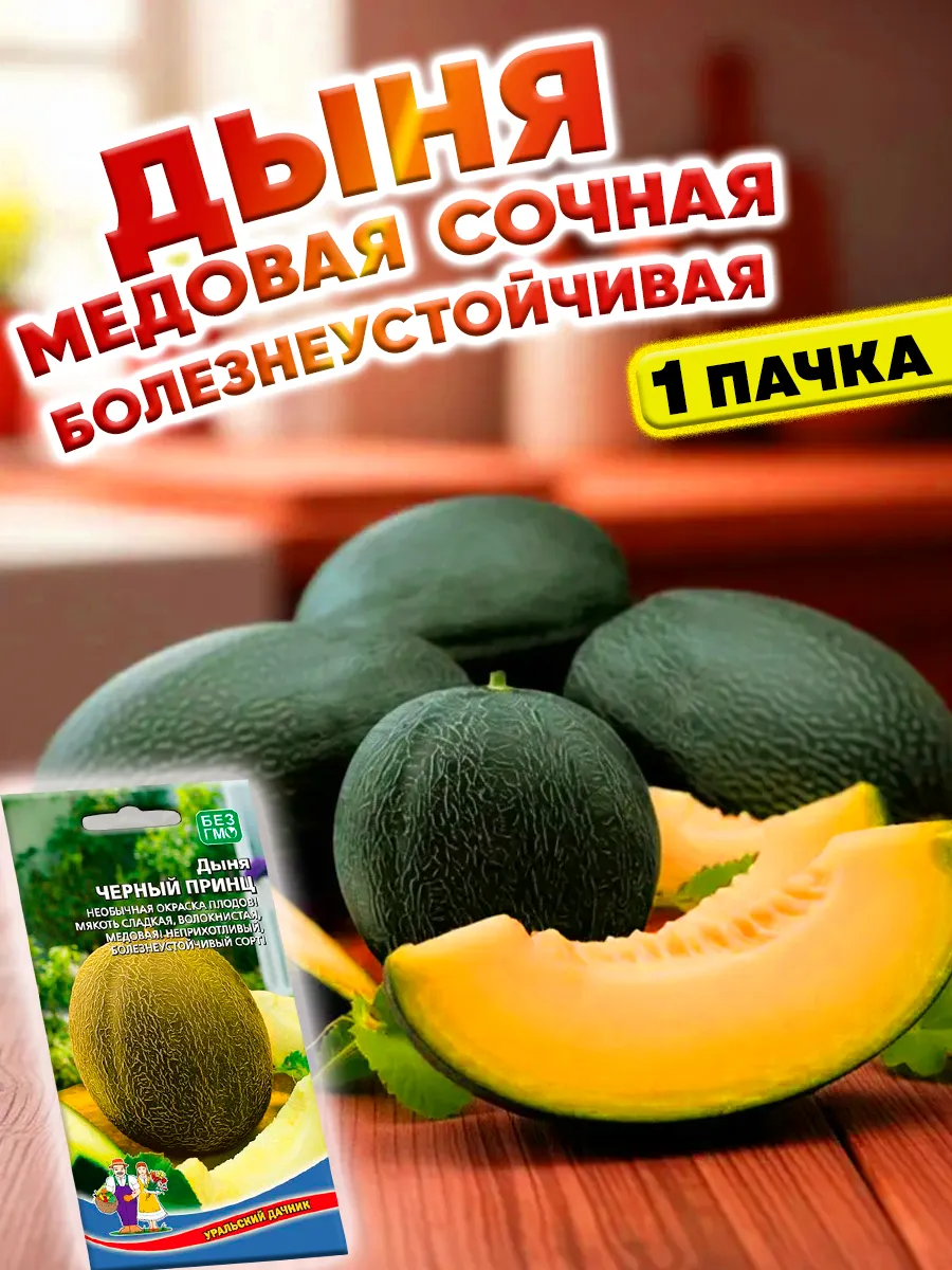 Дыня медовая Черный принц