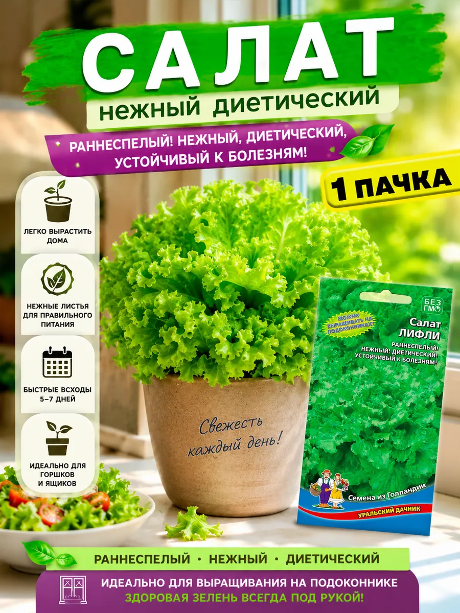 Салат листовой ранний Лифли
