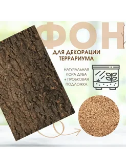 Фон для террариума из пробки 30x40см Коричневый Фон