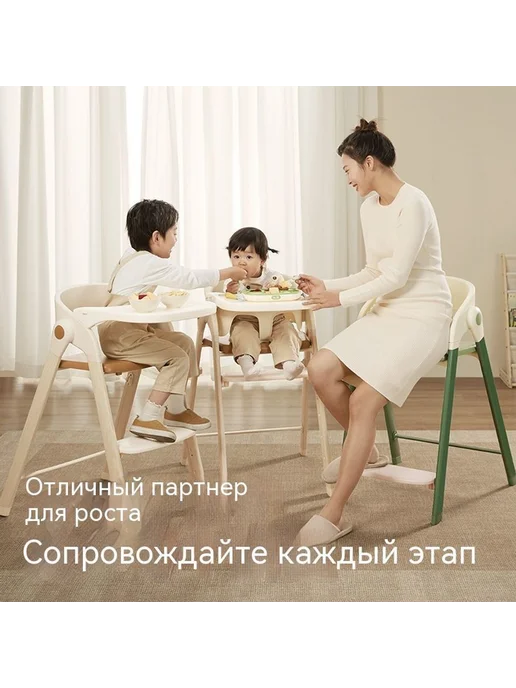 Обеденный стул Орех, вариант, фото 3