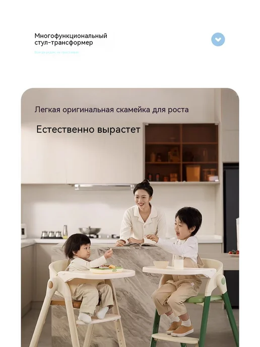 Обеденный стул Орех, вариант, фото 7