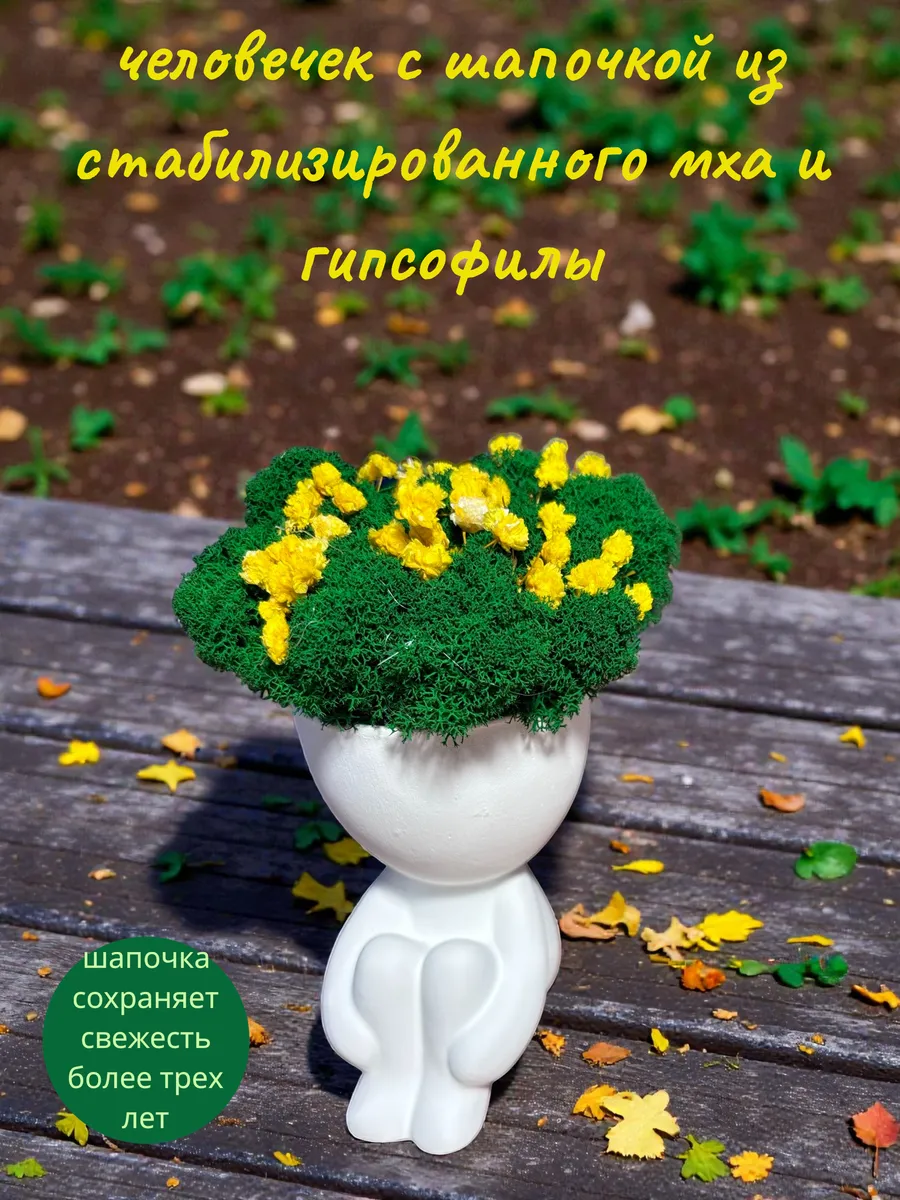 стабилизированный мох и гипсофила в кашпо человечек