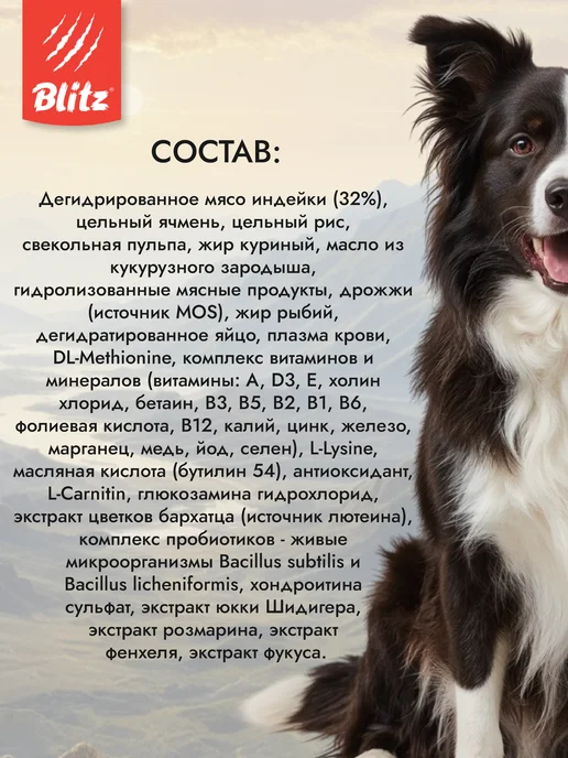 Сухой корм BLITZ Старше для собак, взрослые, пожилые, 1,8 кг, фото 2