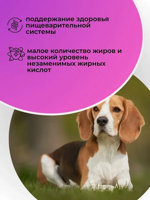 Сухой корм Royal canin Gastrointestinal При для собак, 1 кг, фото 3