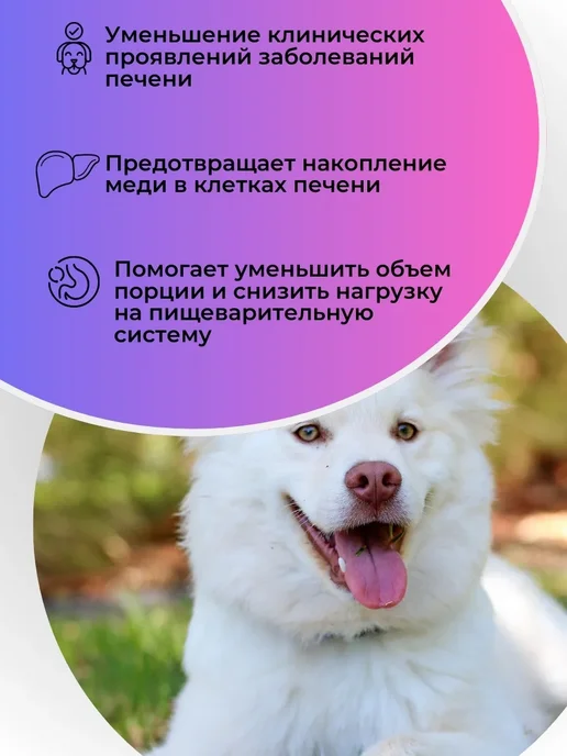 Сухой корм Royal canin Hepatic Функции для собак, 1,5 кг, фото 3